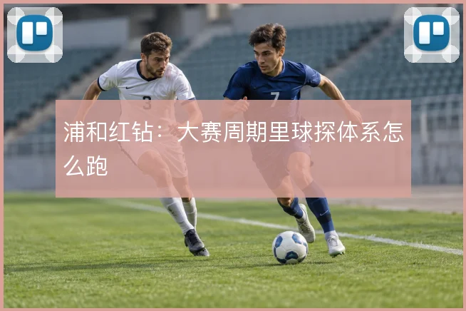 浦和红钻:大赛周期里球探体系怎么跑
