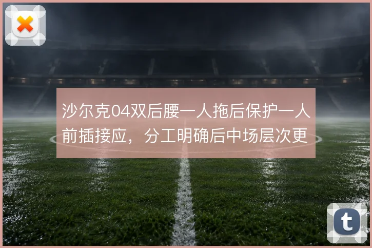沙尔克04双后腰一人拖后保护一人前插接应,分工明确后中场层次更清晰